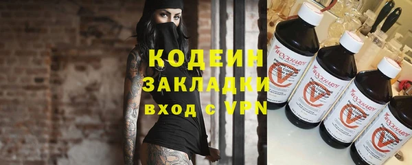 гидра Няндома